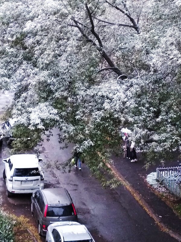 12.10.2025 Первый снег - Людмила Фил