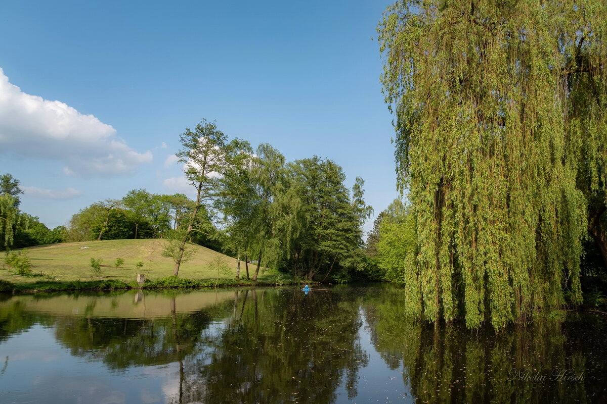 У плакучей ивы... - Николай Гирш У плакучей ивы... - Николай Гирш