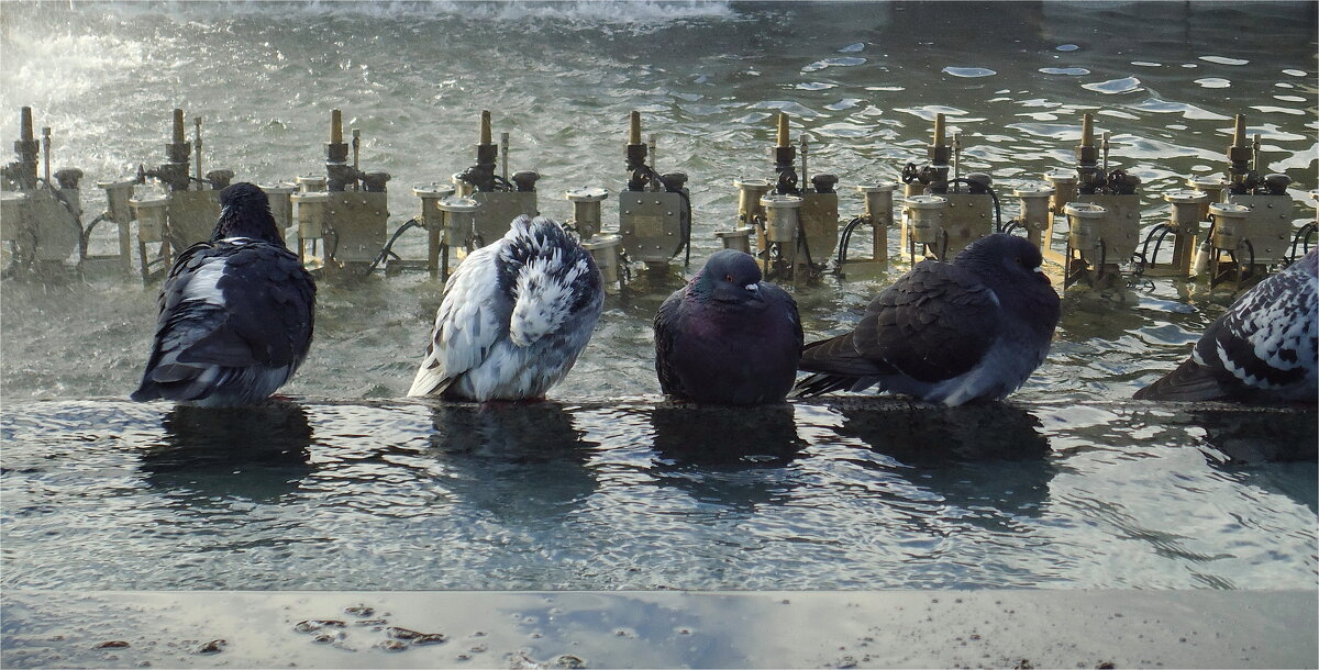 ожидание тёпленькой - sv.kaschuk 