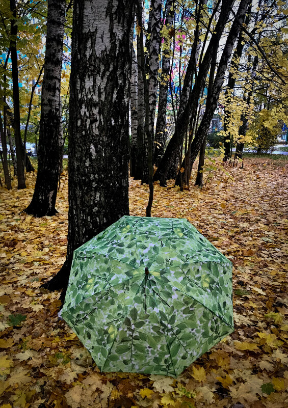 Зонтик, осень, рядом  я…) - Любовь 