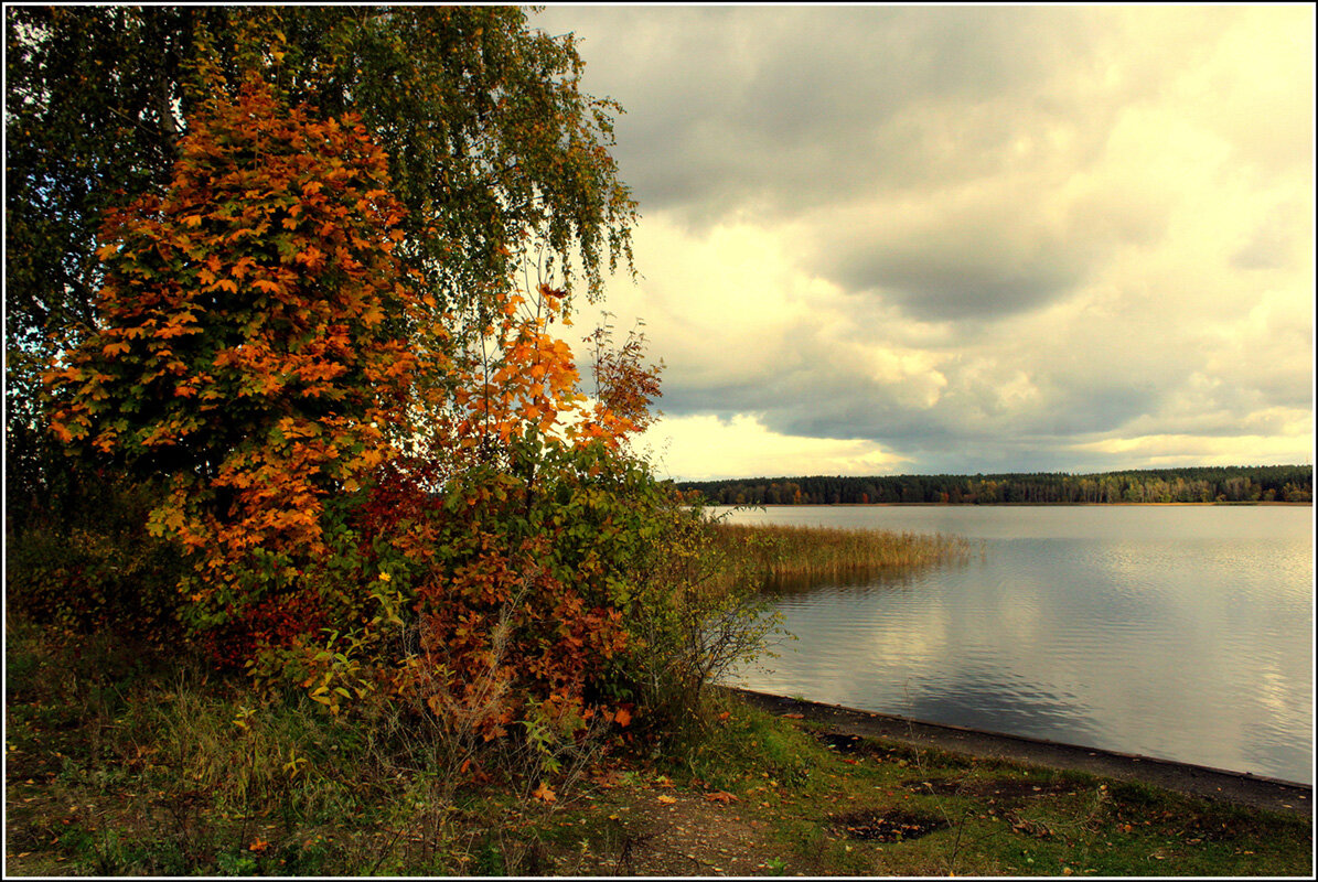 На озере... - Aleksandr Gal На озере... - Aleksandr Gal