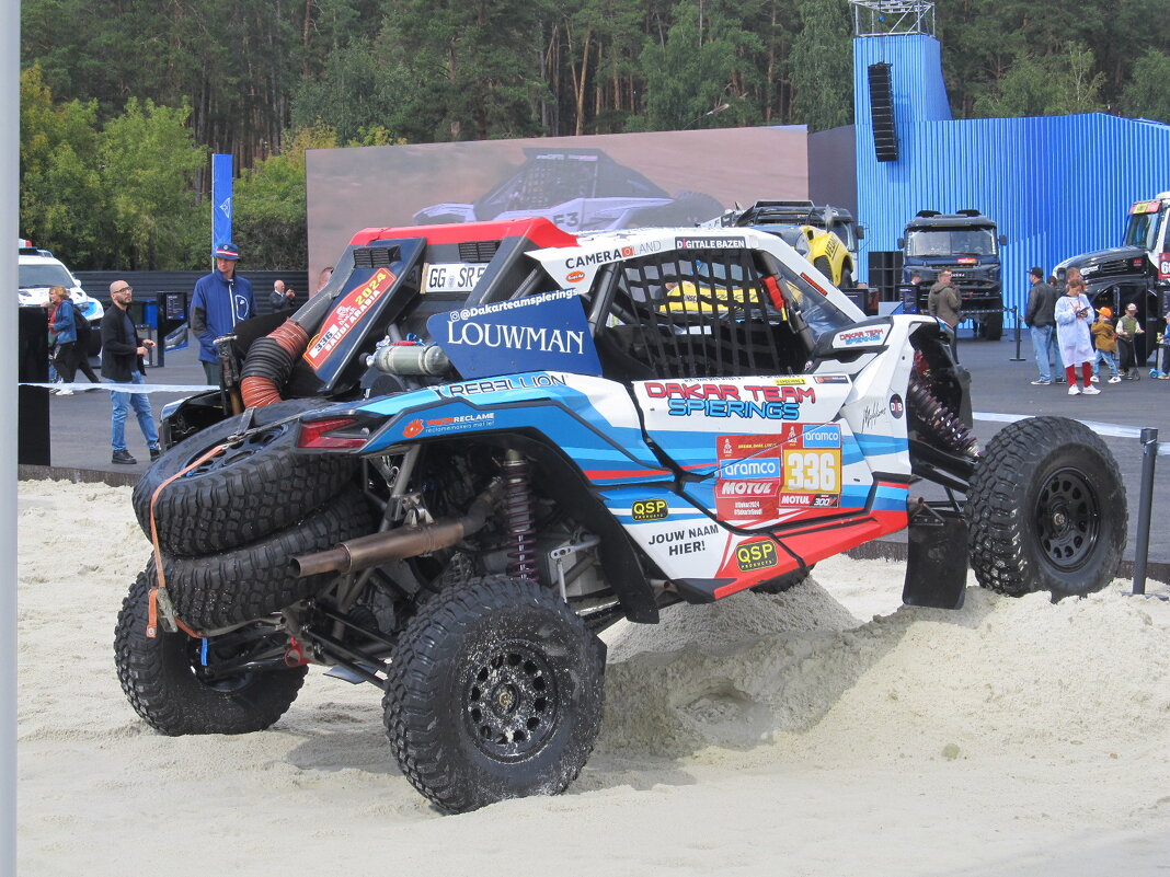 ......... - Елена Шаламова