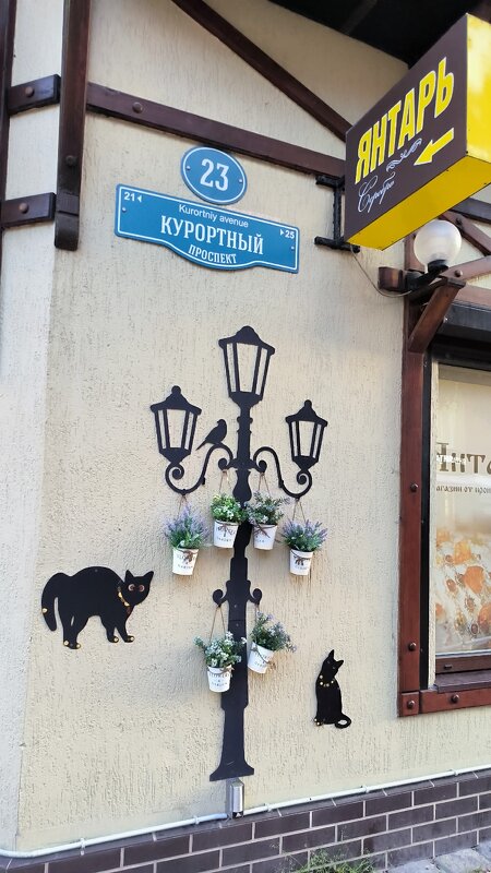 Котики Зеленоградска. - Ольга Котики Зеленоградска. - Ольга