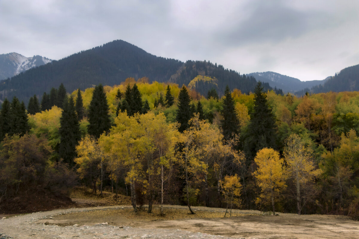 Осень не красках не экономит ) - LudMila 