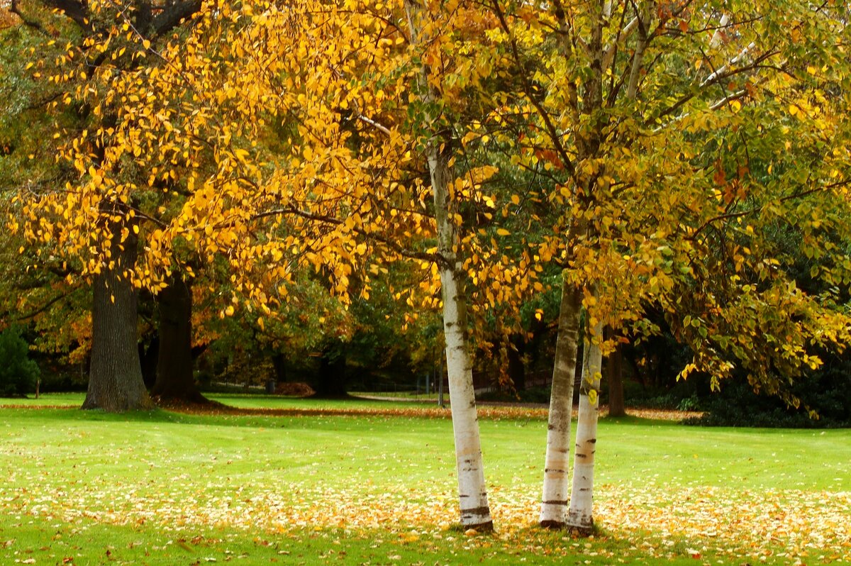 Три сестрёнки - Юрий. Шмаков