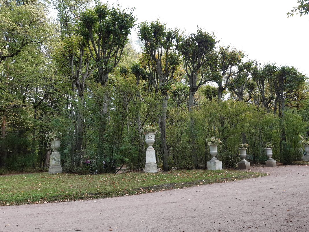 Павловск, Павловский парк - Галина Минчук Павловск, Павловский парк - Галина Минчук