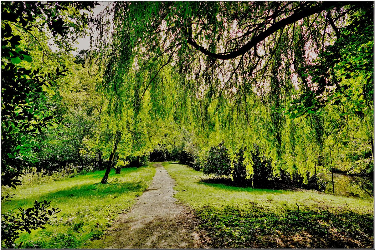 ТРОПИНКА... - Elvira E. ТРОПИНКА... - Elvira E.