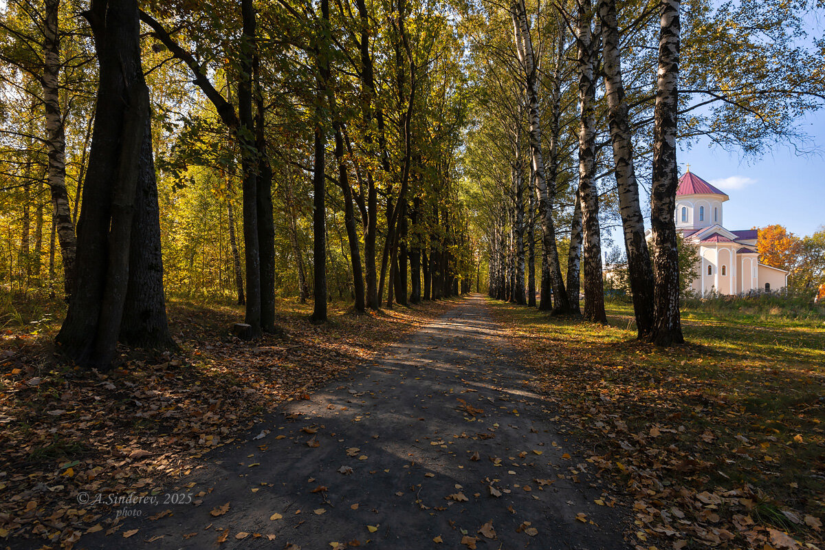 Экотропа Бурнаковская низина в Нижнем Новгороде - Александр Синдерёв Экотропа Бурнаковская низина в Нижнем Новгороде - Александр Синдерёв