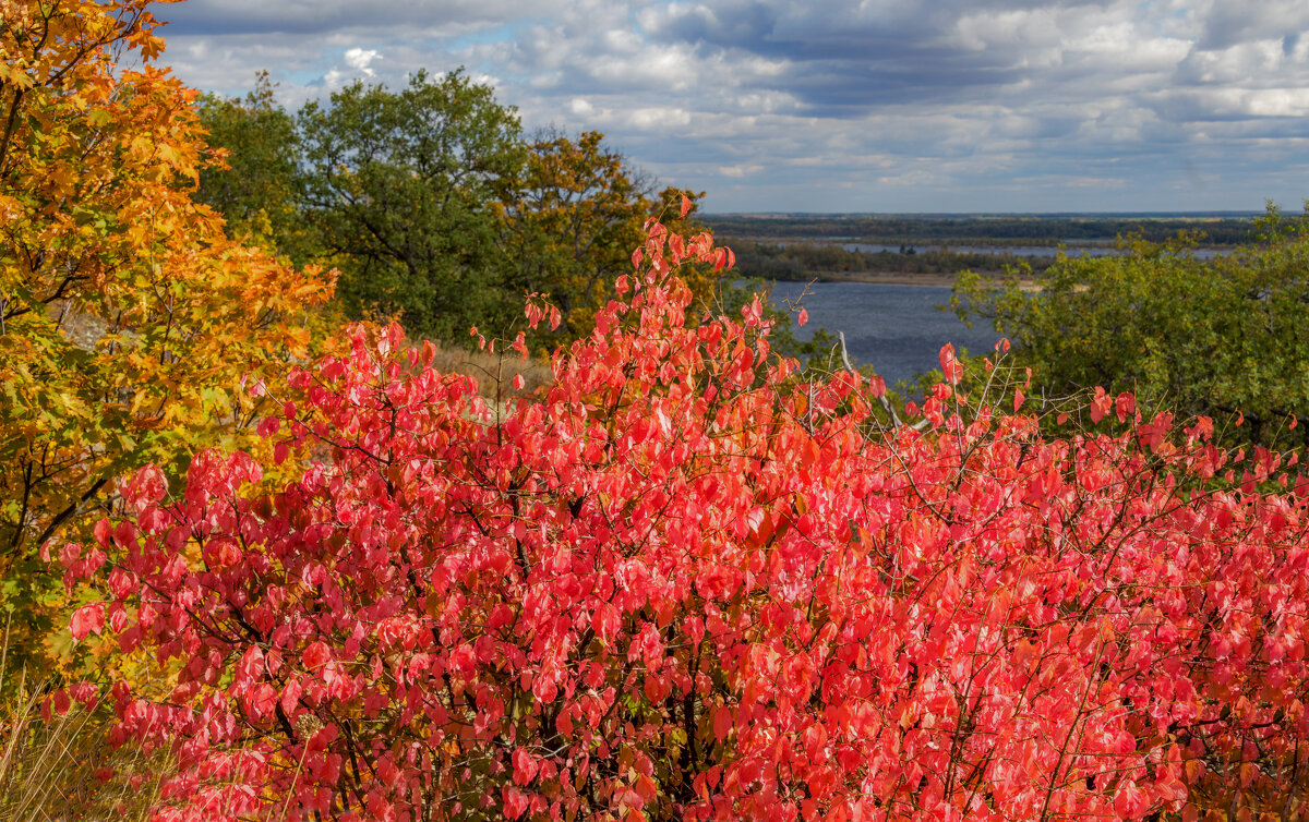 Краски осени - Наталья Димова