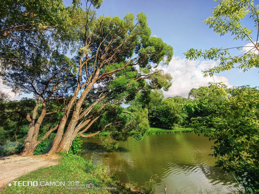 Первый Каменский пруд - Игорь Сарапулов