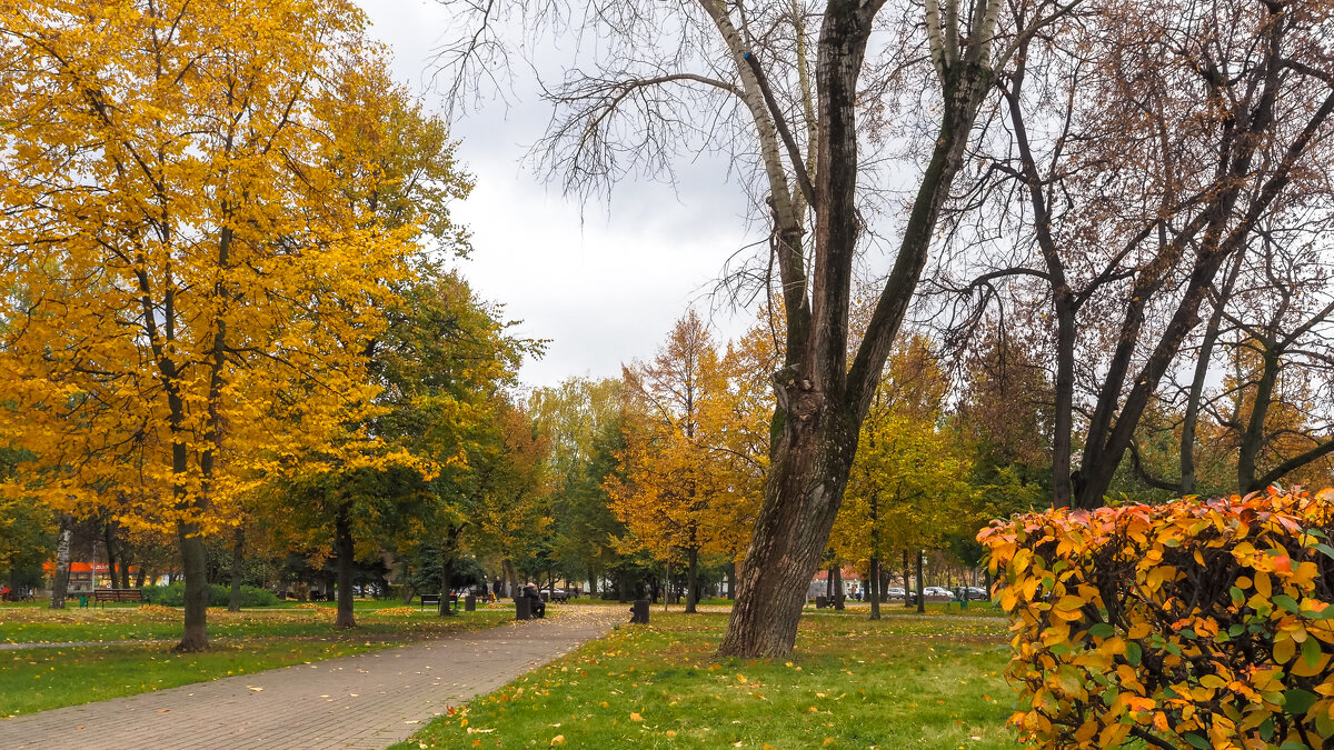 Осенний Сюжет - юрий поляков