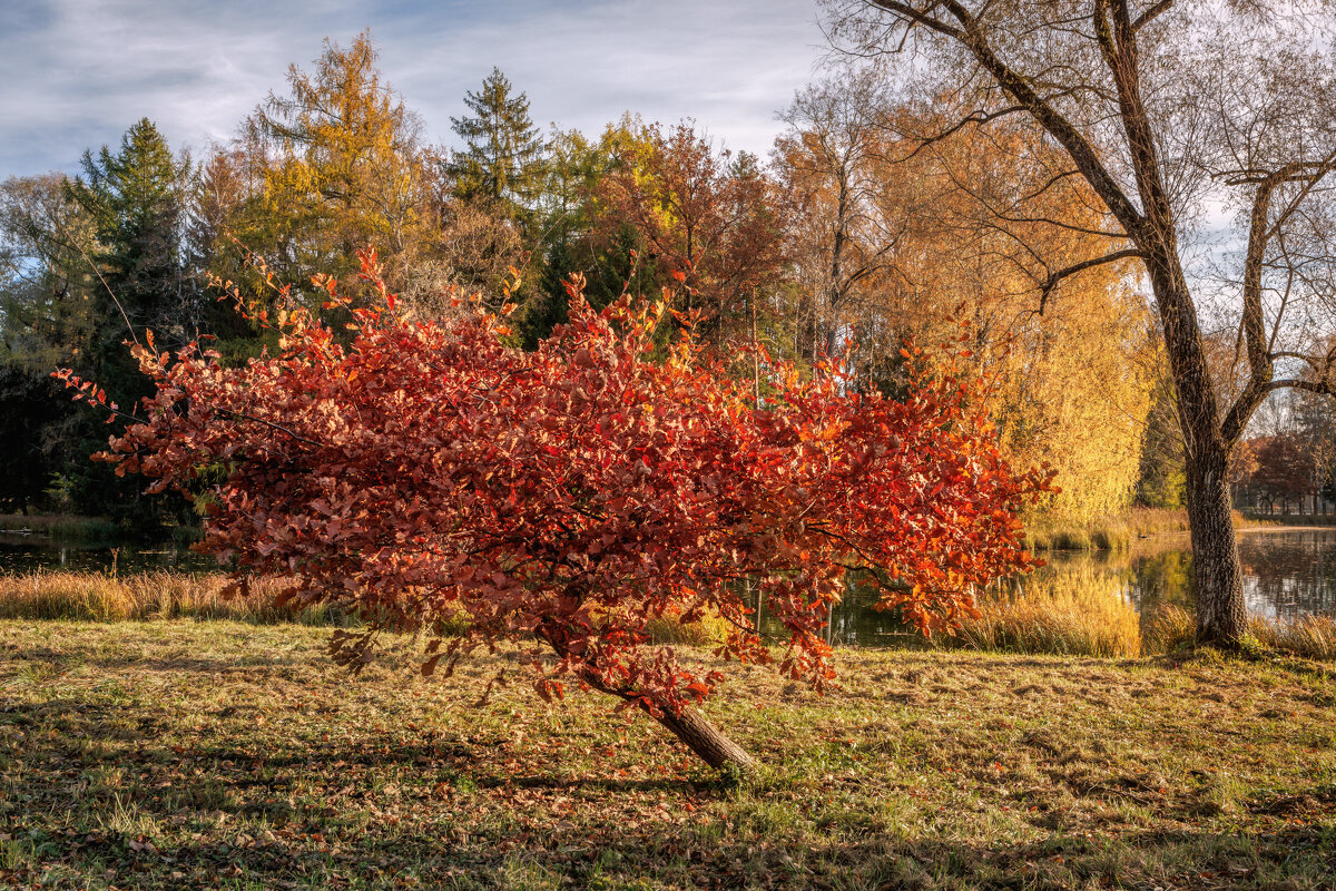 Осень - Владимир Колесников
