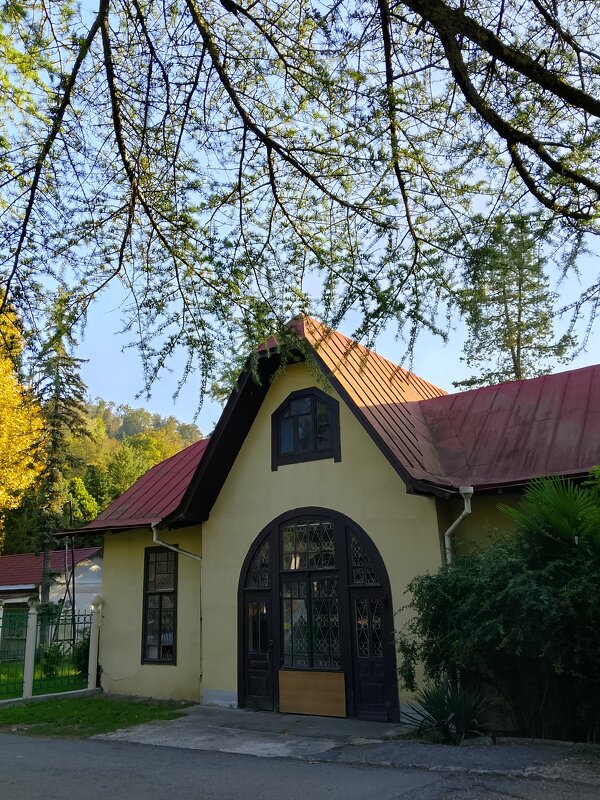 МАЦЕСТА - Tata Wolf МАЦЕСТА - Tata Wolf