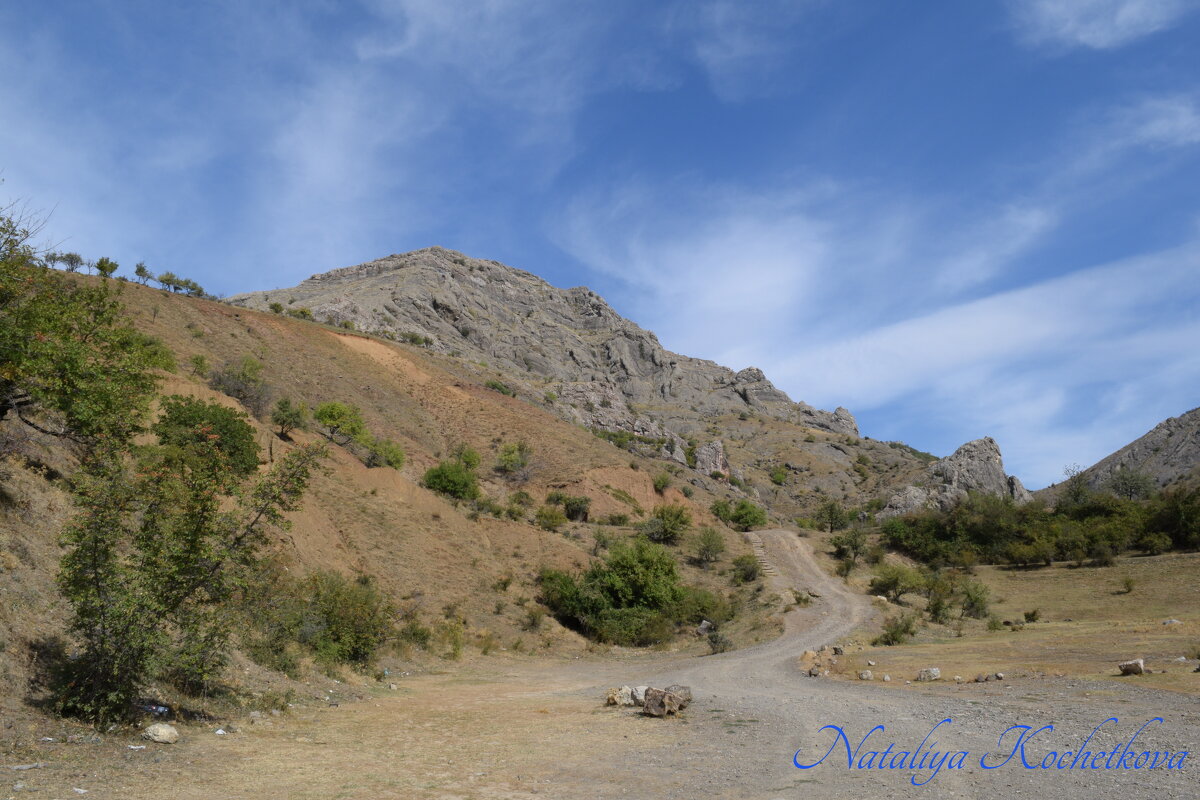 Природа Крыма - Amazing Cosmea