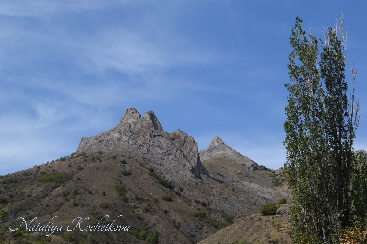 Природа Крыма - Amazing Cosmea