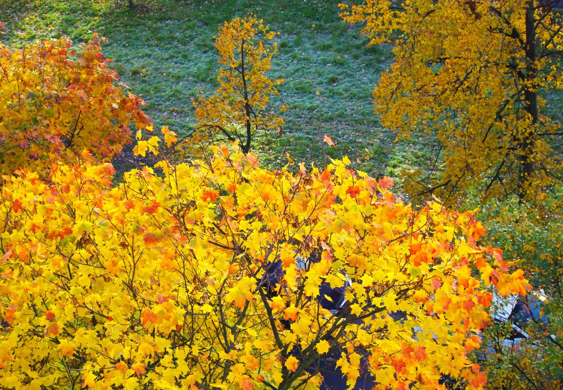 Контрасты ! - Юрий Куликов Контрасты ! - Юрий Куликов