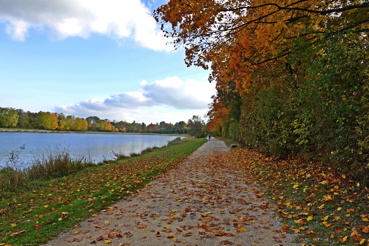 Люблю я осень яркую, красивую, цветную… Нарядную, прекрасную и ярко золотую!... - Галина 