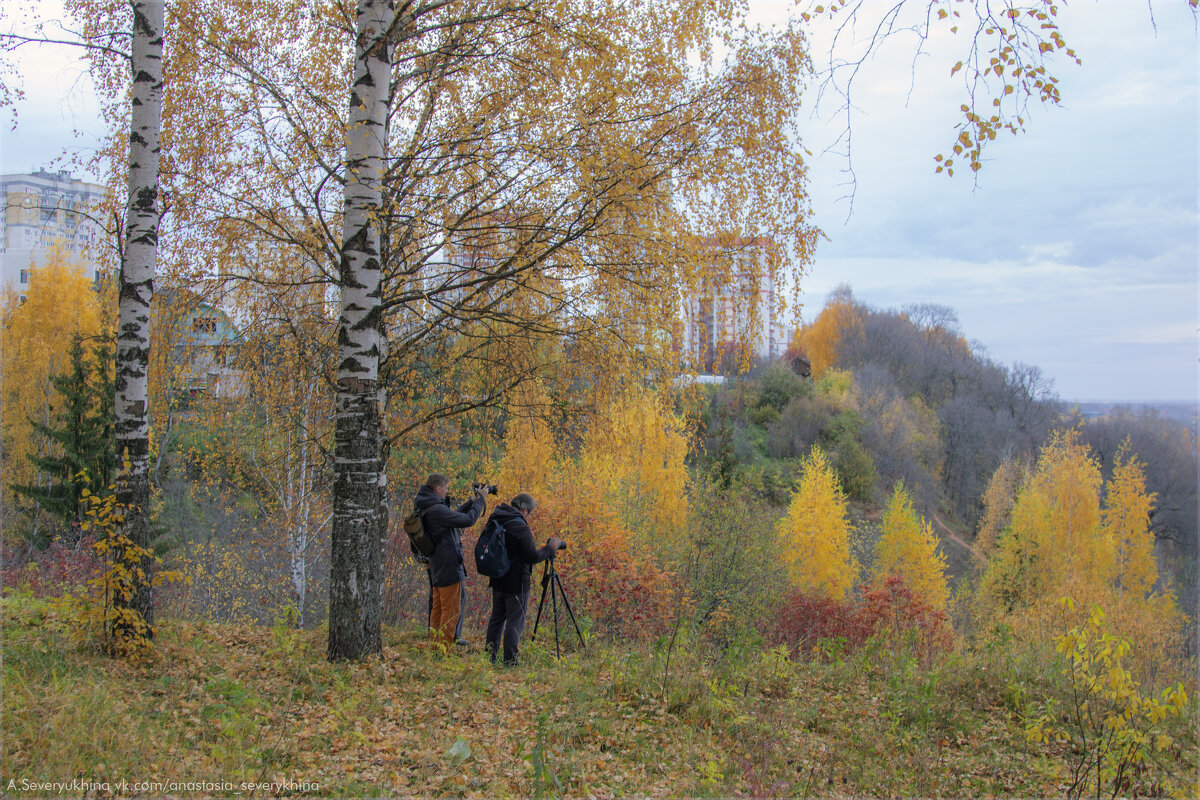 Фотографы за своим любимым занятием - Анастасия Северюхина