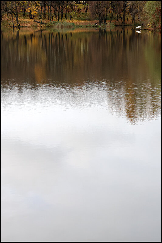 * - Сергей Премонишын