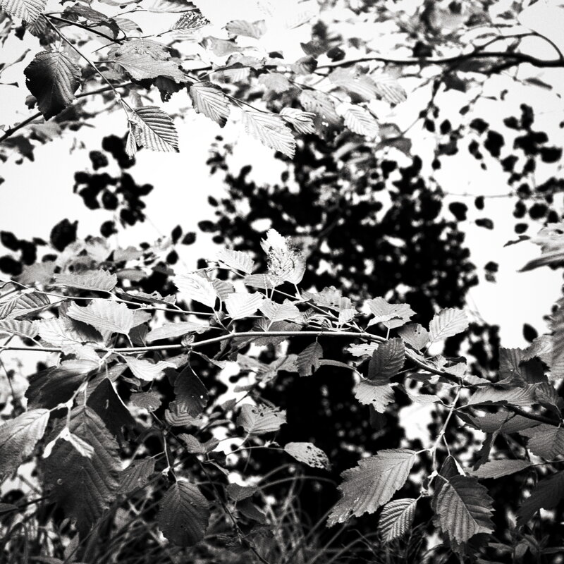 Фотография - Денис Безногов