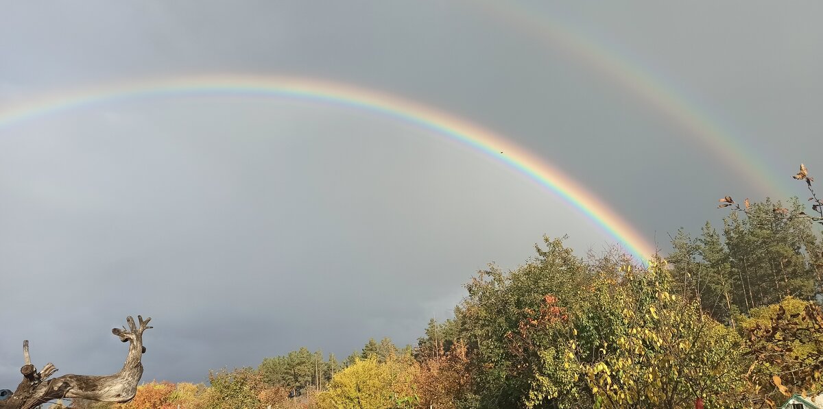 Олень пришел полюбоваться на радугу - Gen Vel Олень пришел полюбоваться на радугу - Gen Vel