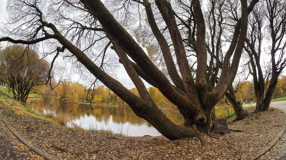 ***** - юрий поляков