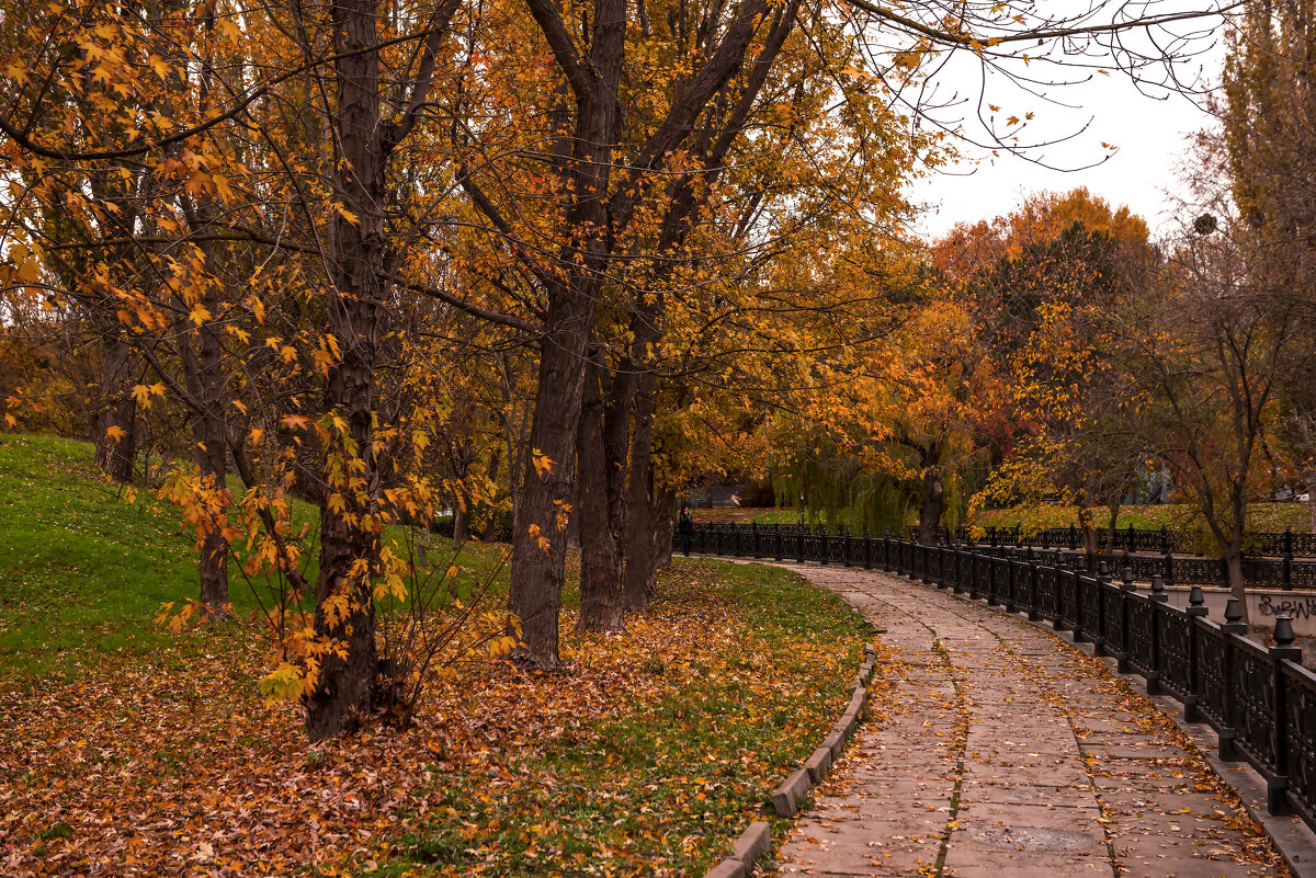 Пестрые краски осени. - Сергей Воротников