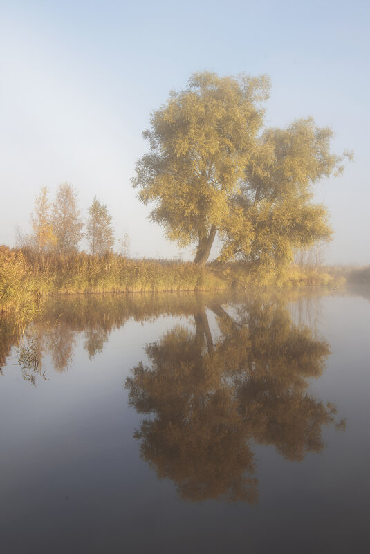 осенняя симметрия - Максим Вышарь