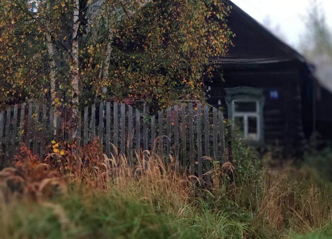 старый дом - Любовь старый дом - Любовь