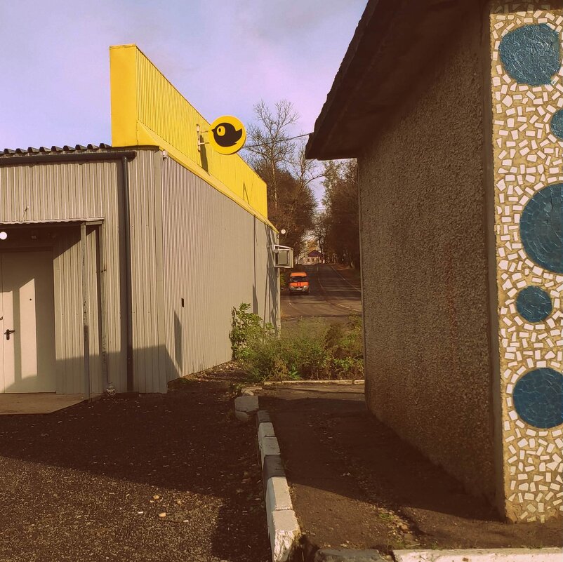 и к нам чижик" прилетел" - Любовь и к нам чижик" прилетел" - Любовь