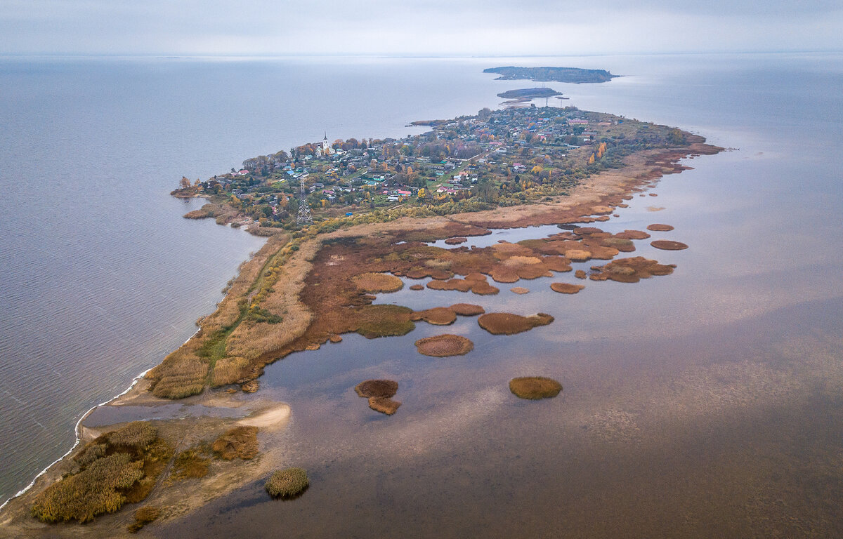 **** - Елизавета .