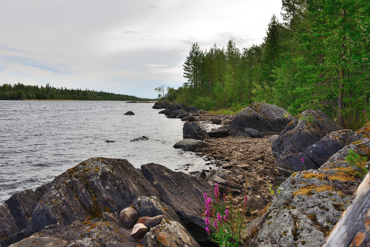 *** - Александр Хаецкий