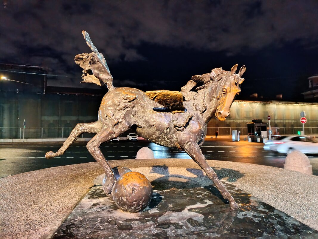 Пегас в Санкт-Петербурге. - Ирина ***