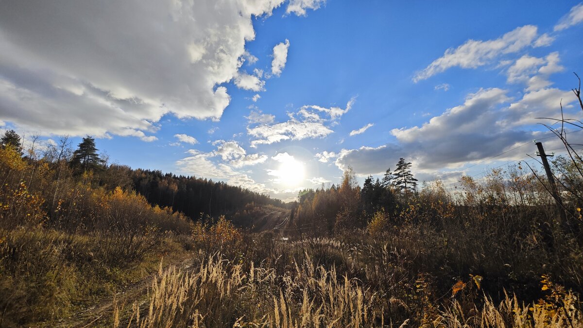 Чудесный, солнечный день! - Станислав Мутовин