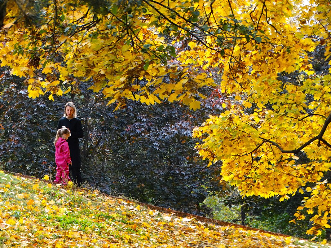 Осень в Москве - svk *