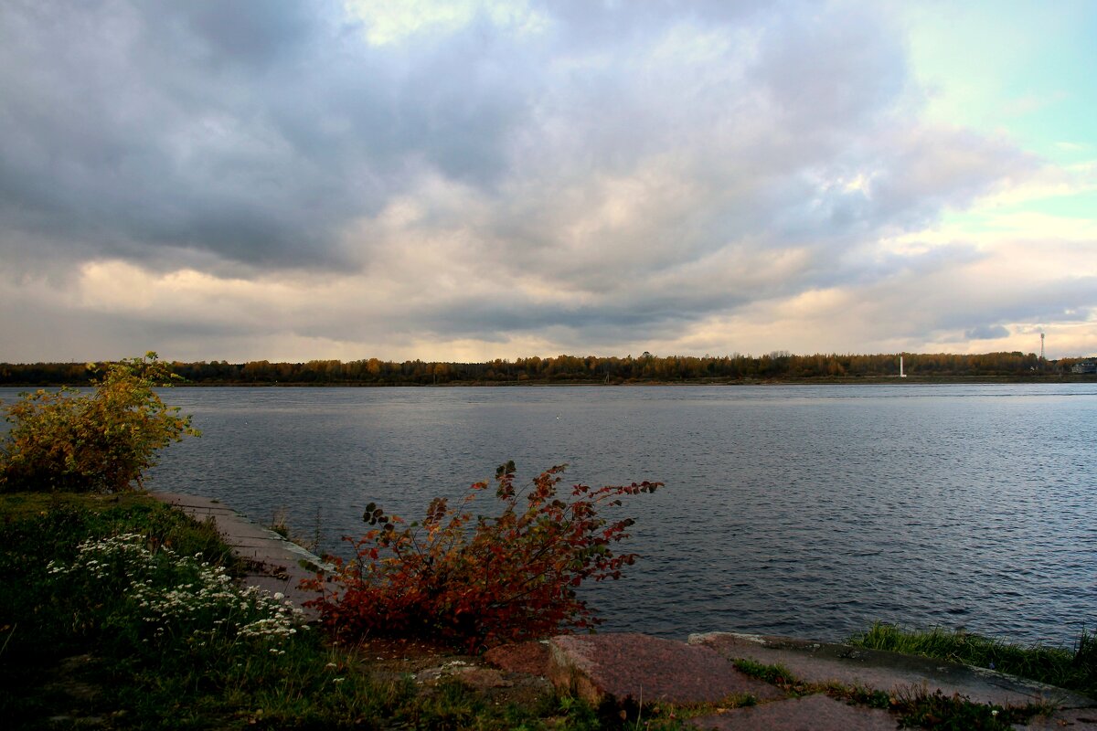 Небо над Невой - Наталья Герасимова