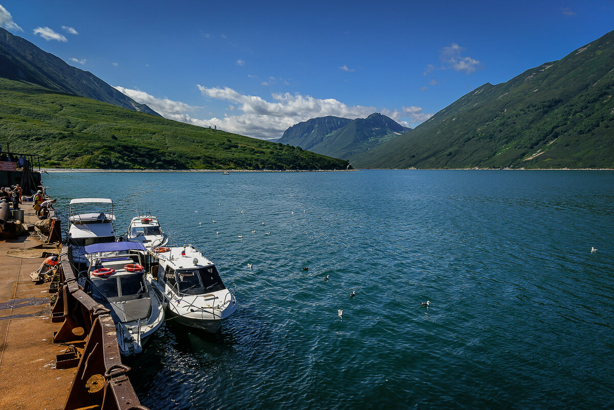 ... - Жора Житников