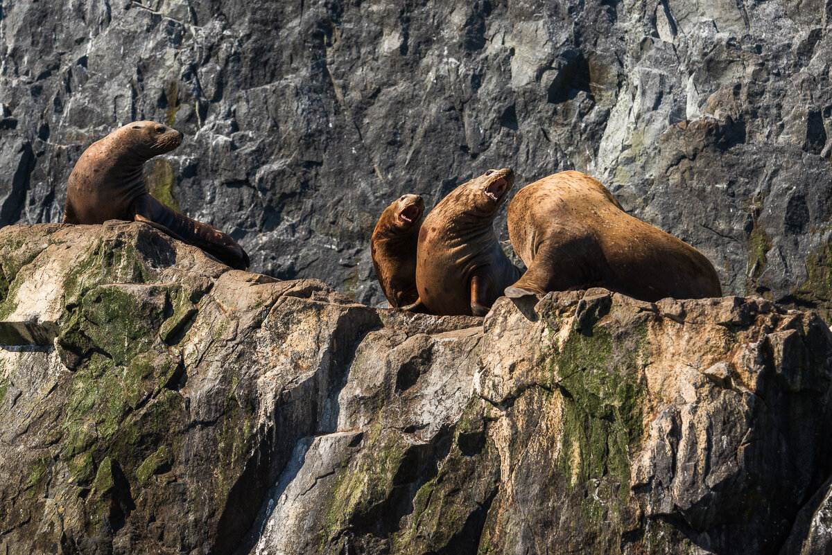 ... - Жора Житников