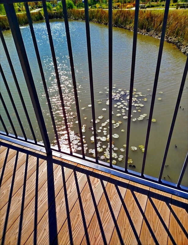 Тени! - Надежда 