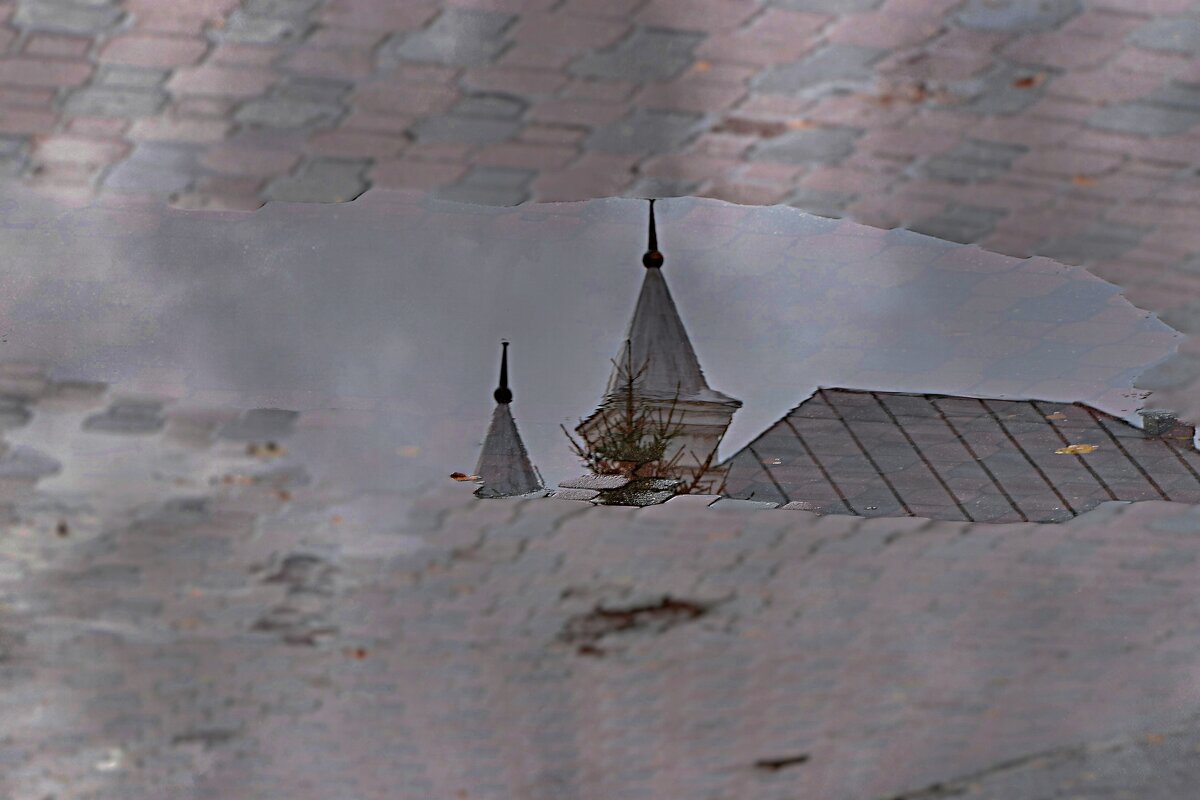 После недавнего дождя. - Татьяна Помогалова