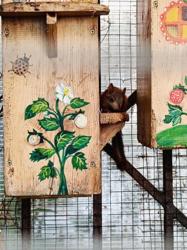 белки в  монастыре - Галина R...