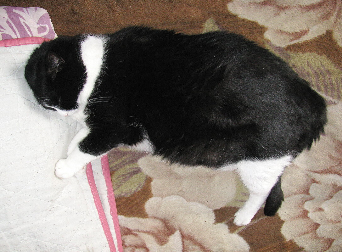 Так сладко спится в дождливую погоду - Людмила Смородинская