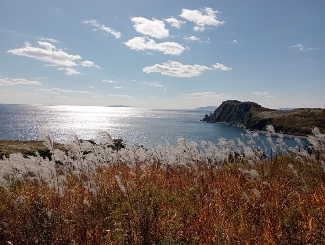 У моря - Елена Семигина