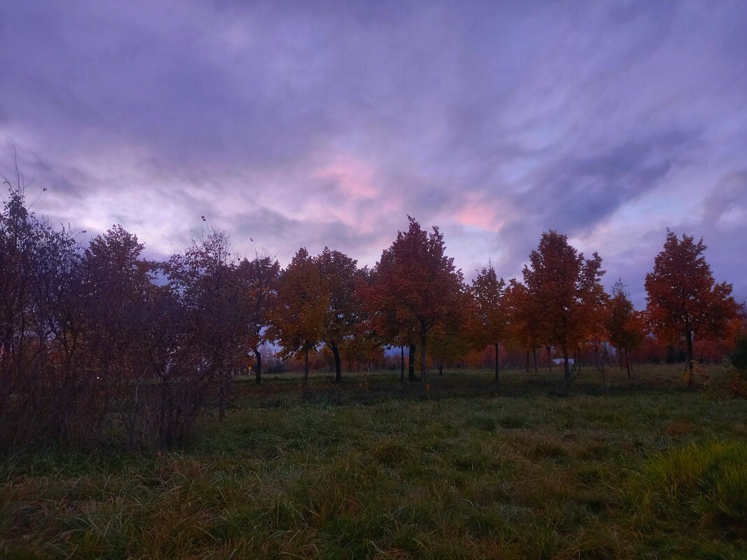 Закат - Сапсан 