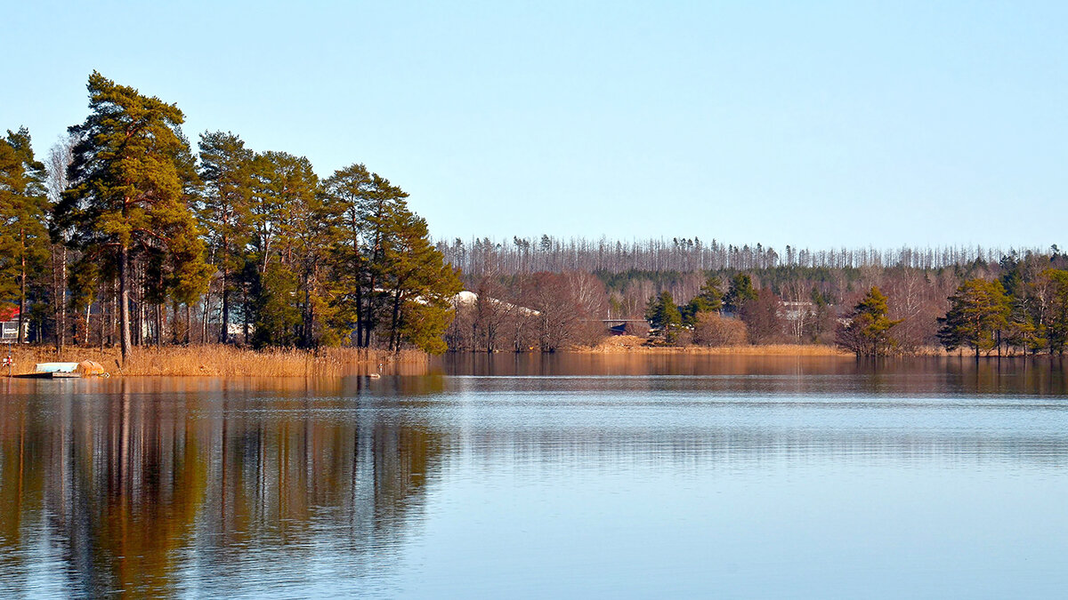 Восхитит и не разочарует - Alexandеr P