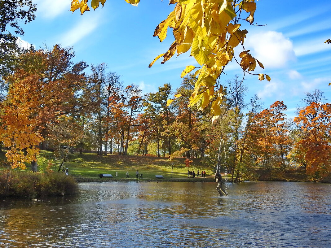 осень - ИННА ПОРОХОВА