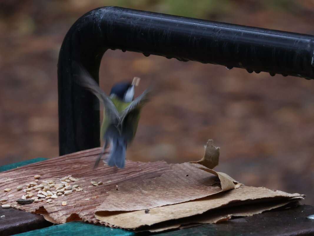 Взлет - Иван Ермен