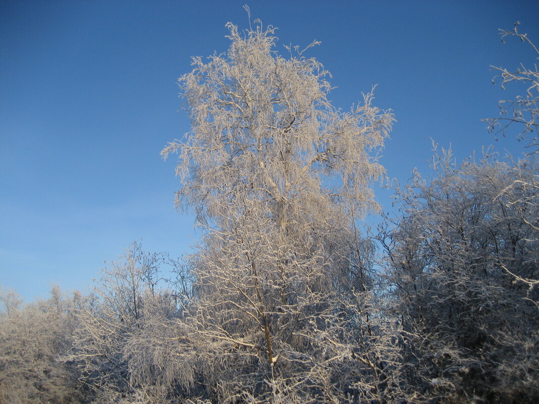 Зима - Anna Ivanova