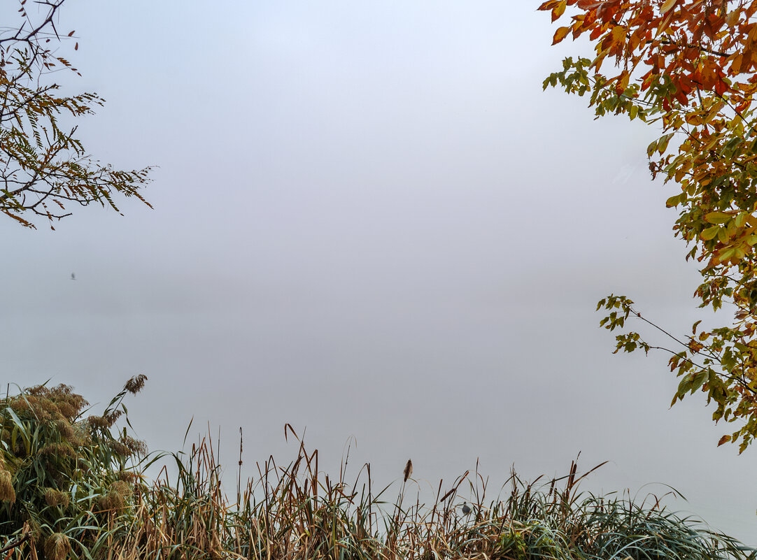 Туман 2 - Игорь Протасов Туман 2 - Игорь Протасов