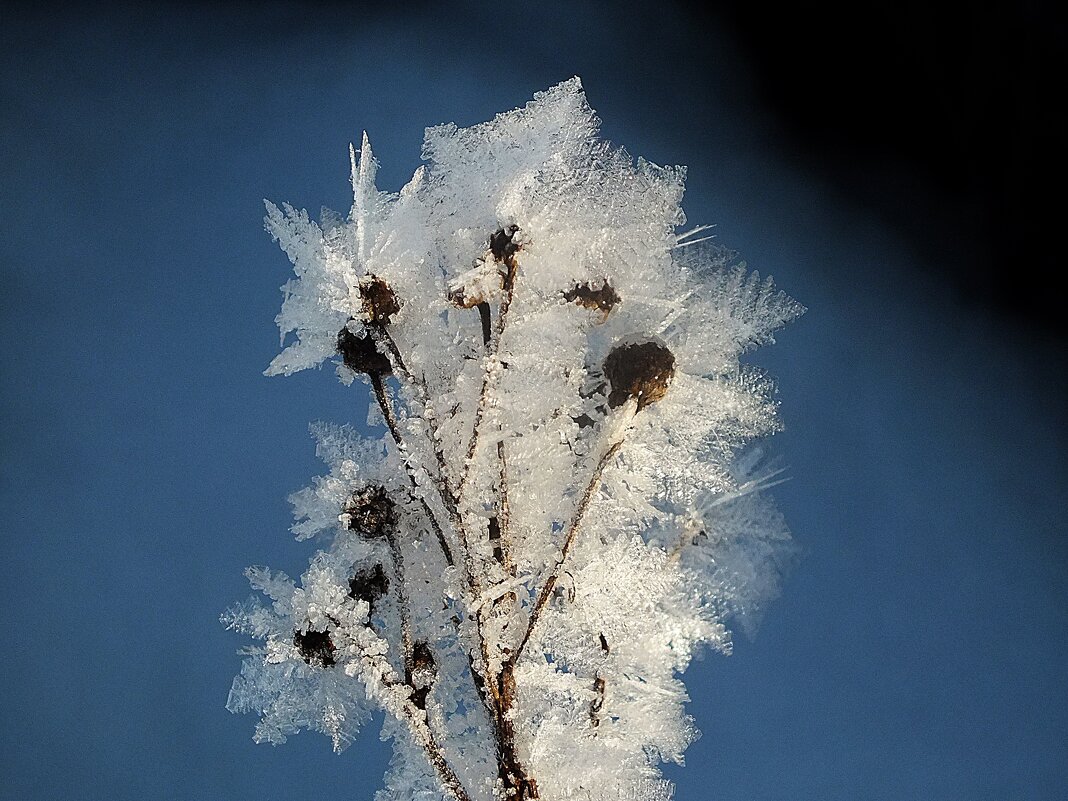 ** - Зоя Мишина